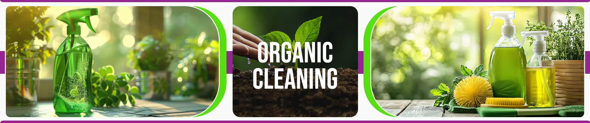 carpet cleaning in brooklyn, carpet cleaning in brooklyn, carpet cleaning brooklyn, carpet cleaners in brooklyn, carpet cleaners in brooklyn, commercial carpet cleaning, commercial carpet cleaning in brooklyn, brooklyn rug cleaners, rug cleaning services in brooklyn, same day carpet cleaning, same day rug cleaning